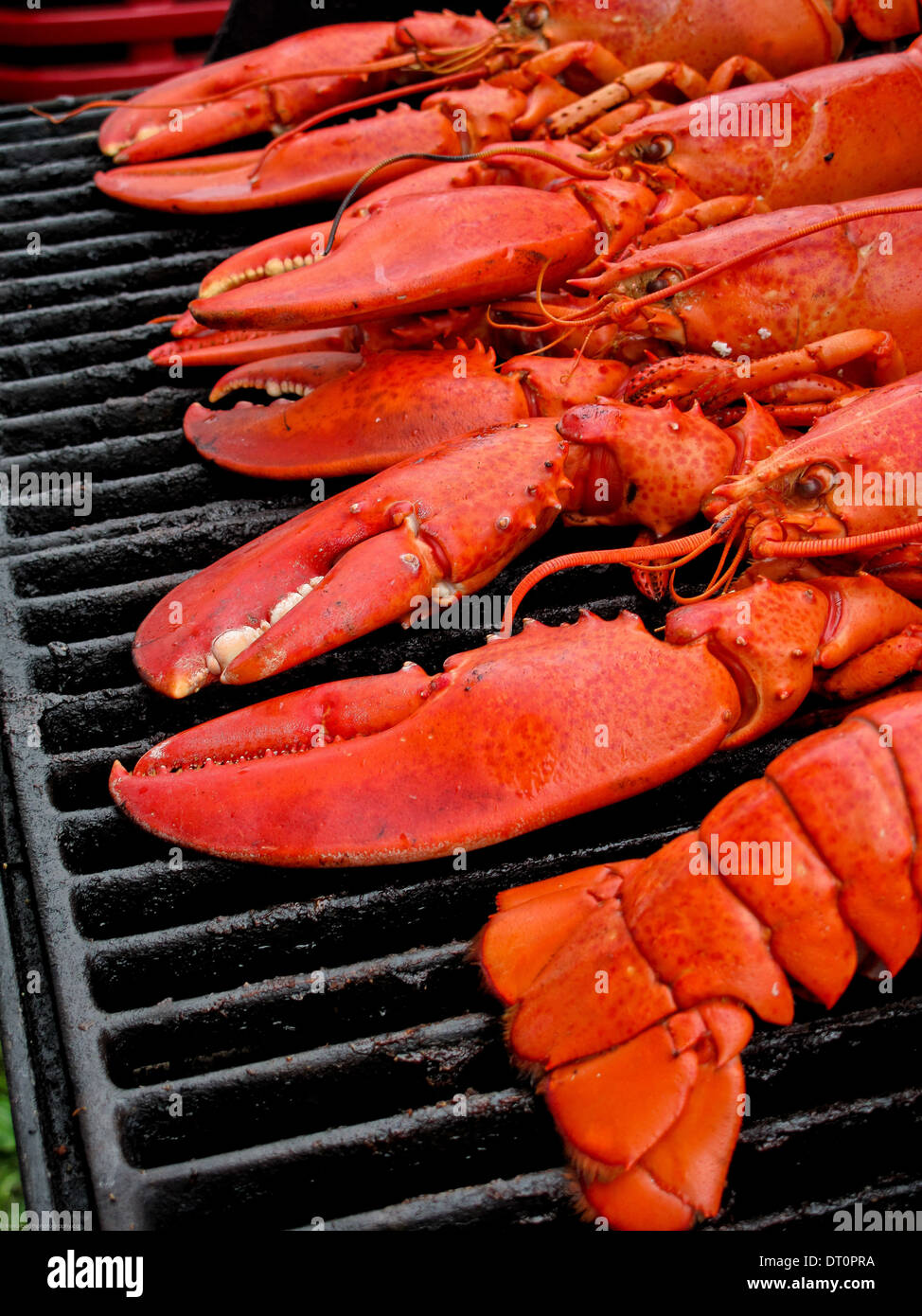 Homards sur un barbecue Banque D'Images