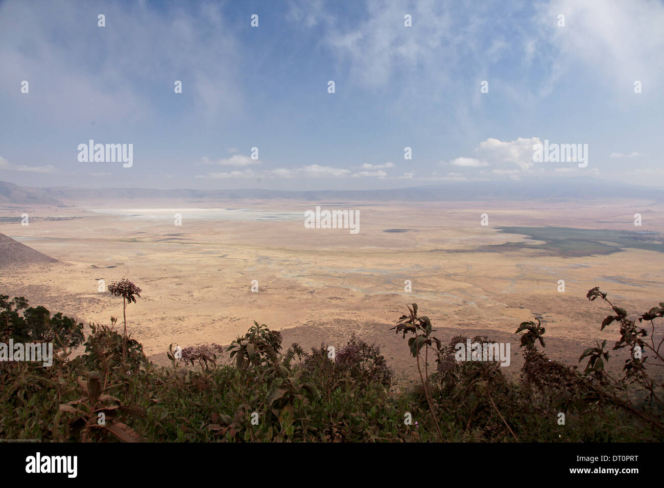 Une large vue sur le cratère du Ngorongoro Conservation Area, Tanzania, Africa Banque D'Images