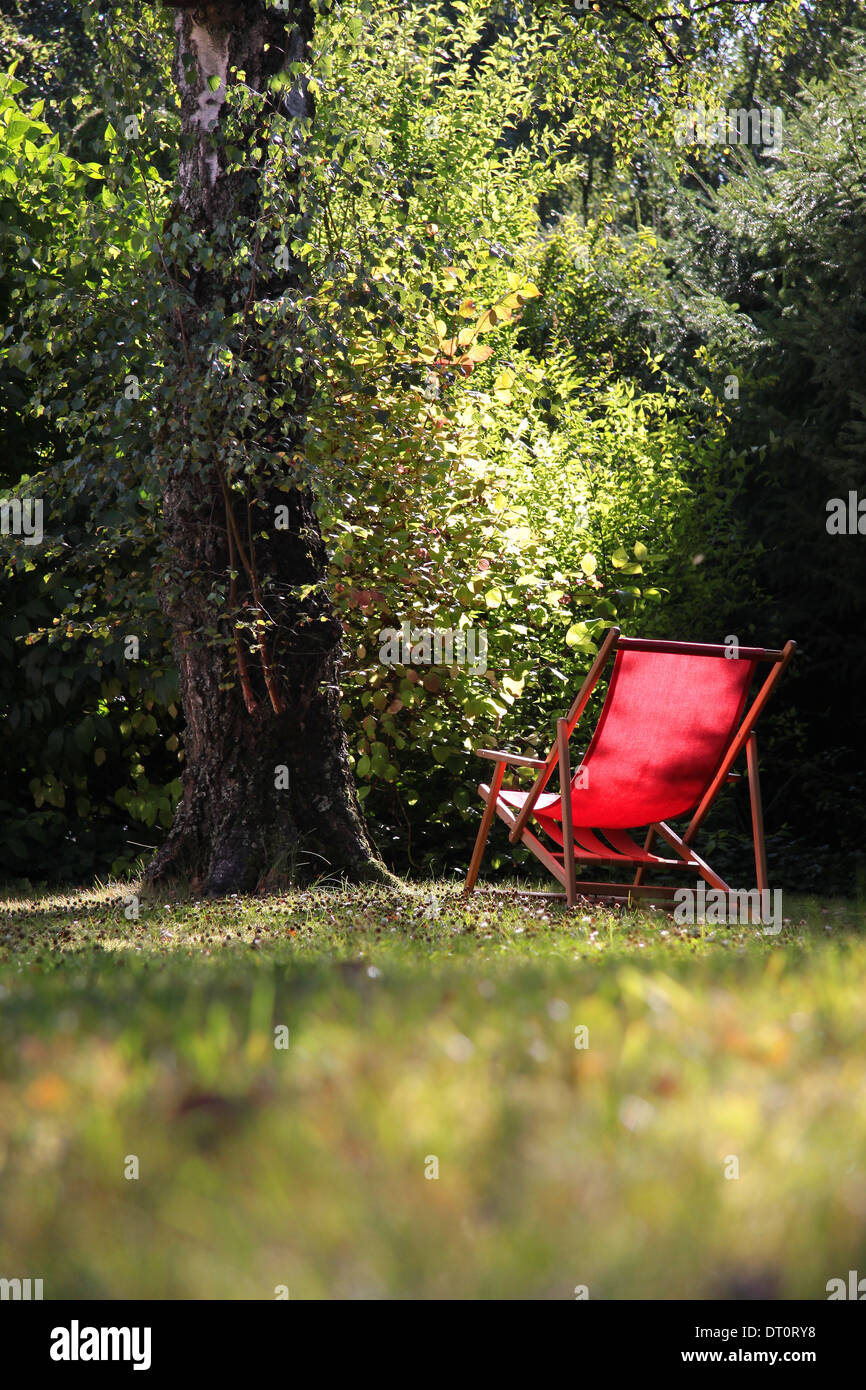Chaise rouge dans le jardin avec de grands arbres de bouleau Banque D'Images