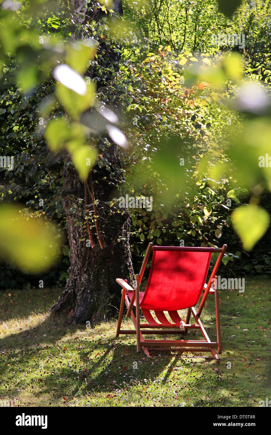 Chaise rouge dans le jardin avec de grands arbres de bouleau Banque D'Images