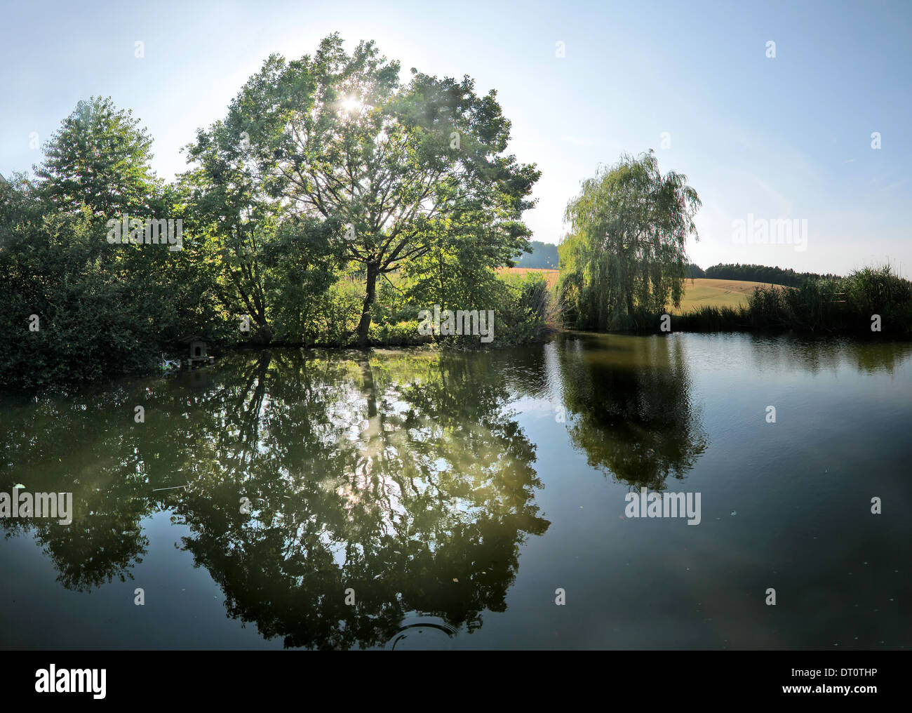 Petit lac avec des arbres dans le Taunus, Allemagne Banque D'Images