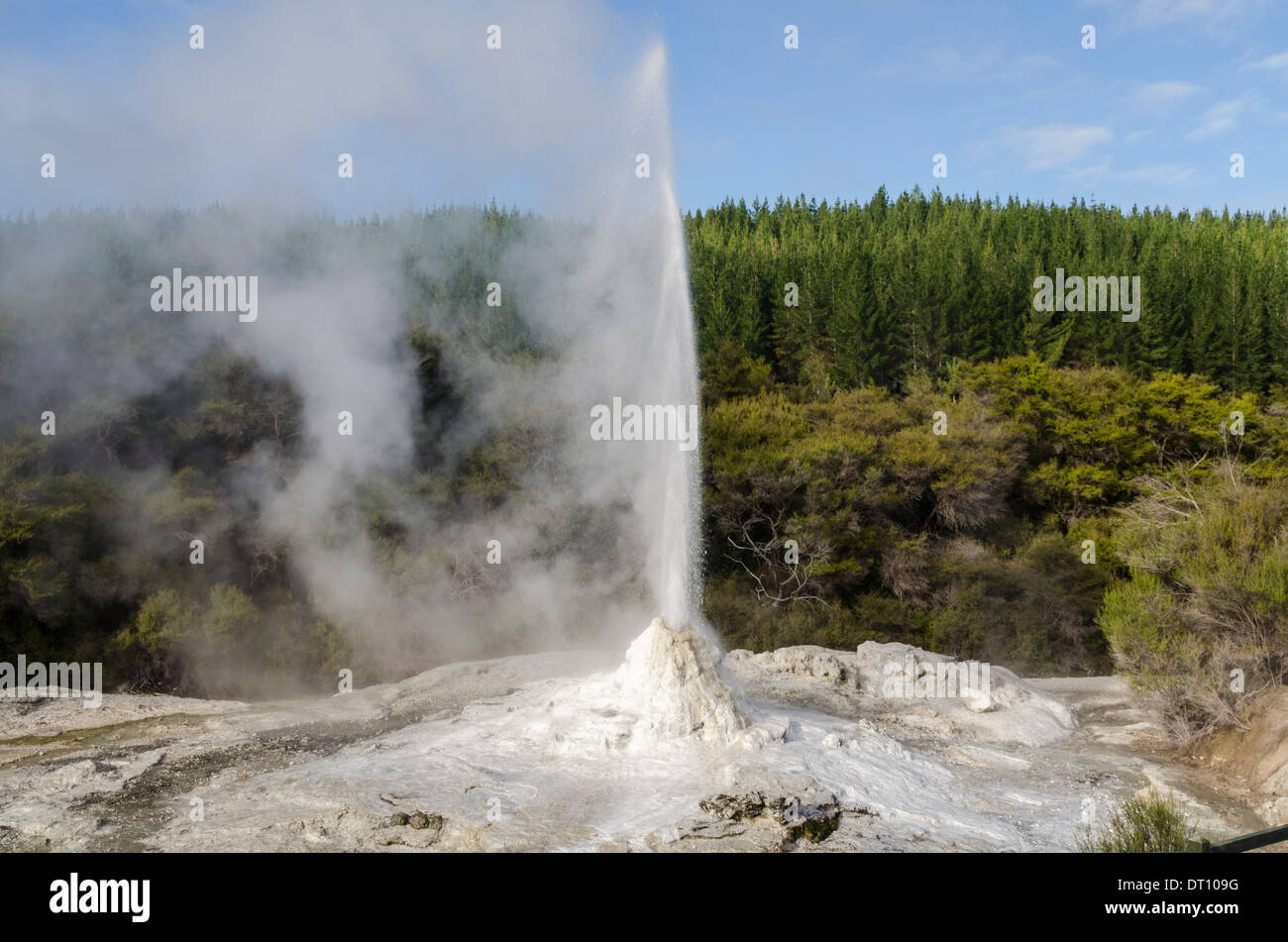 Wai-O-Tapu wonderland géothermique Banque D'Images