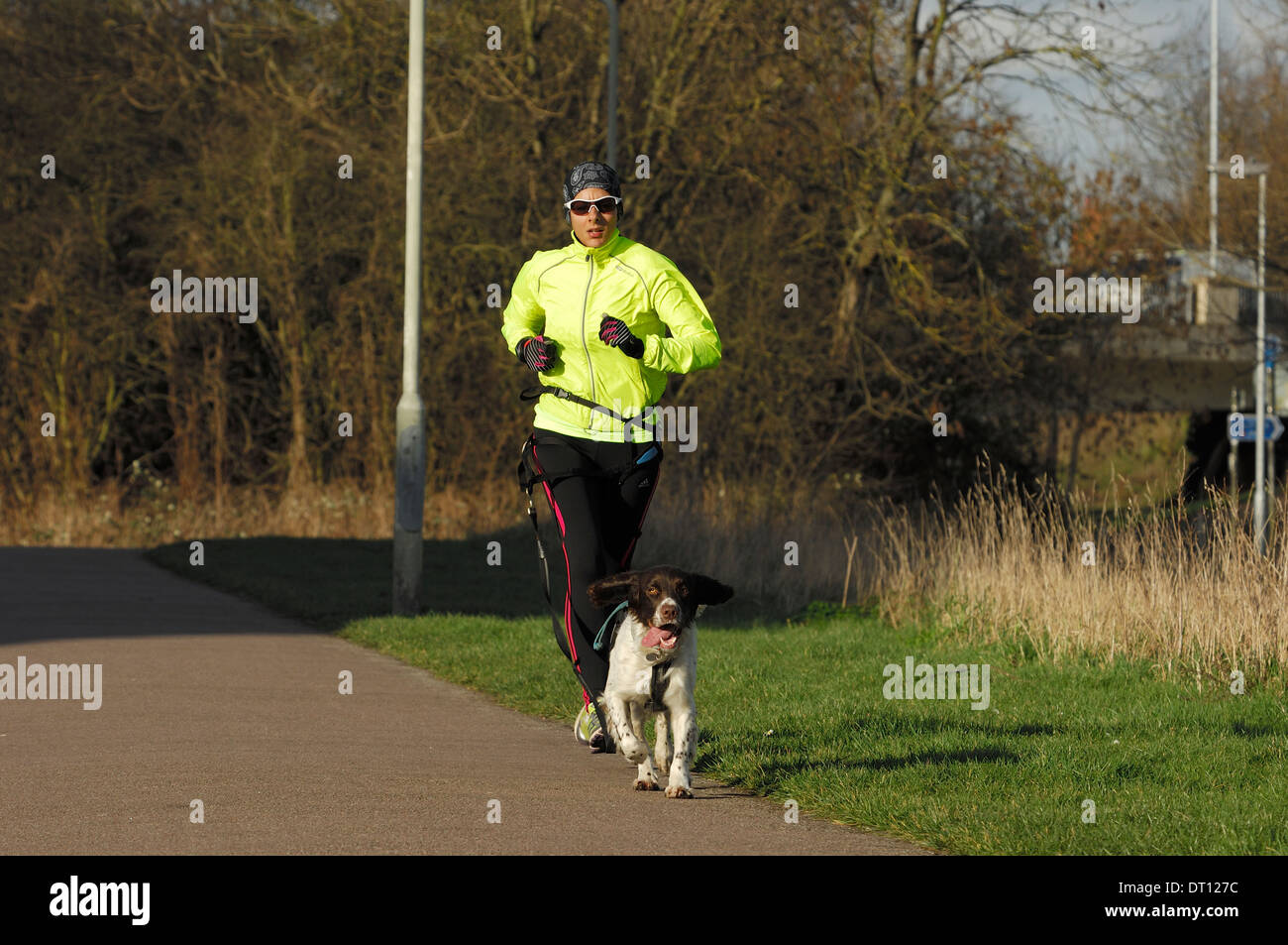 Woman running in park avec un fatigué et à la surchauffe Spaniel chien Banque D'Images