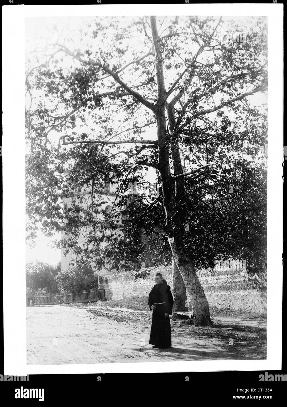Un prêtre franciscain est debout sous un sycomore à la Mission Santa Barbara, photographié entre 1898 et 1899, mettant en lumière la vie religieuse à la mission. Banque D'Images