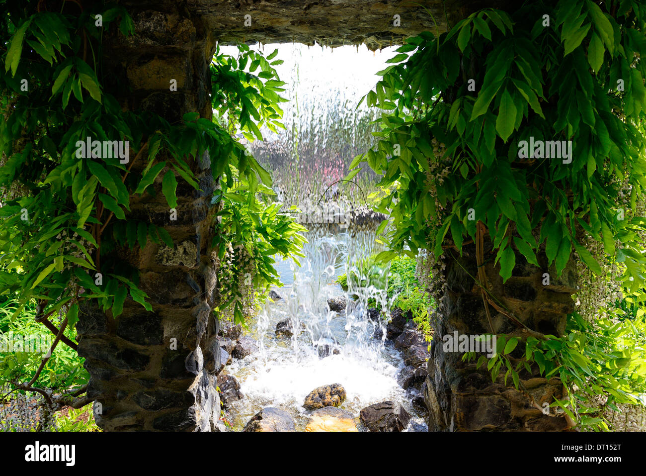 Wisteria floribunda Alba japonais blanc fleurs bloom racèmes racème cascade fontaine à eau couvercle caractéristique gazebo garden Banque D'Images