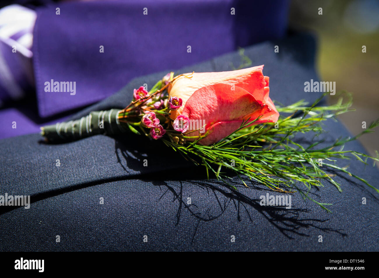 Boutonnière fleur Banque D'Images