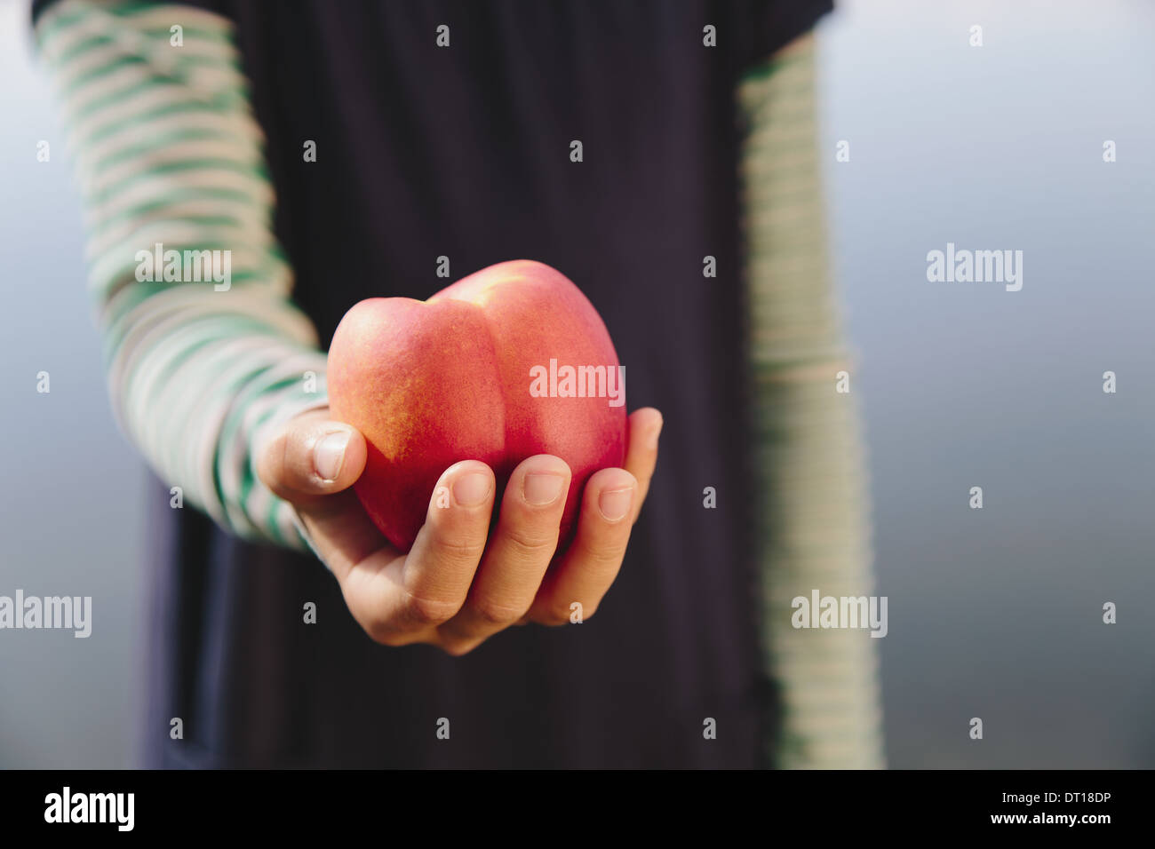 Seattle Washington USA neuf ans girl holding nectarine organique Banque D'Images