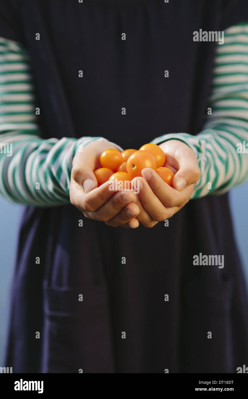 Seattle Washington USA neuf ans, fille, tomates cerises jaunes organiques Banque D'Images