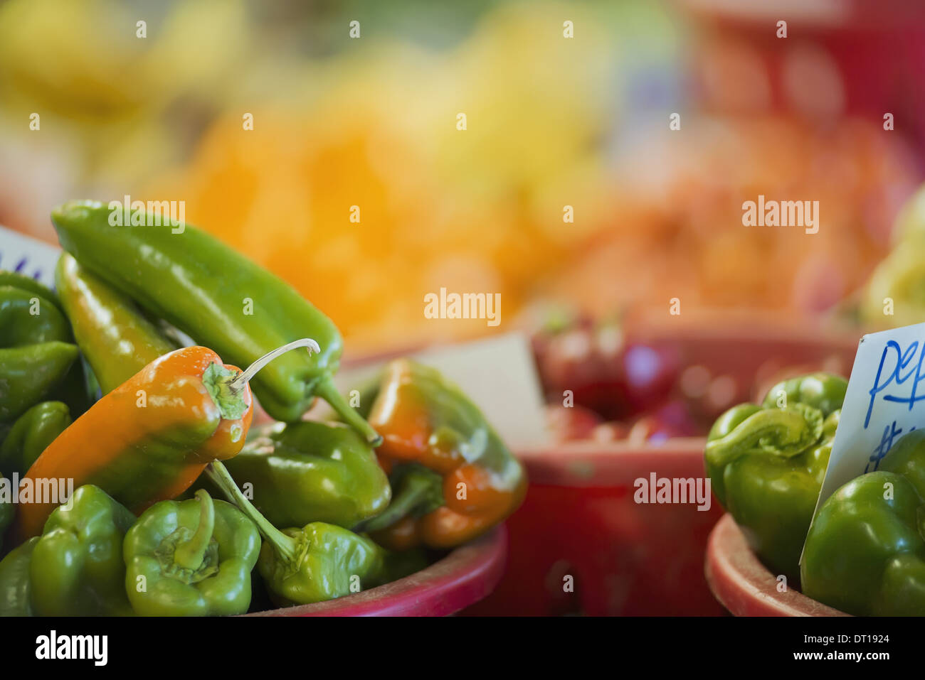 Woodstock, New York USA Organic Assorted Green Peppers sur l'affichage Banque D'Images