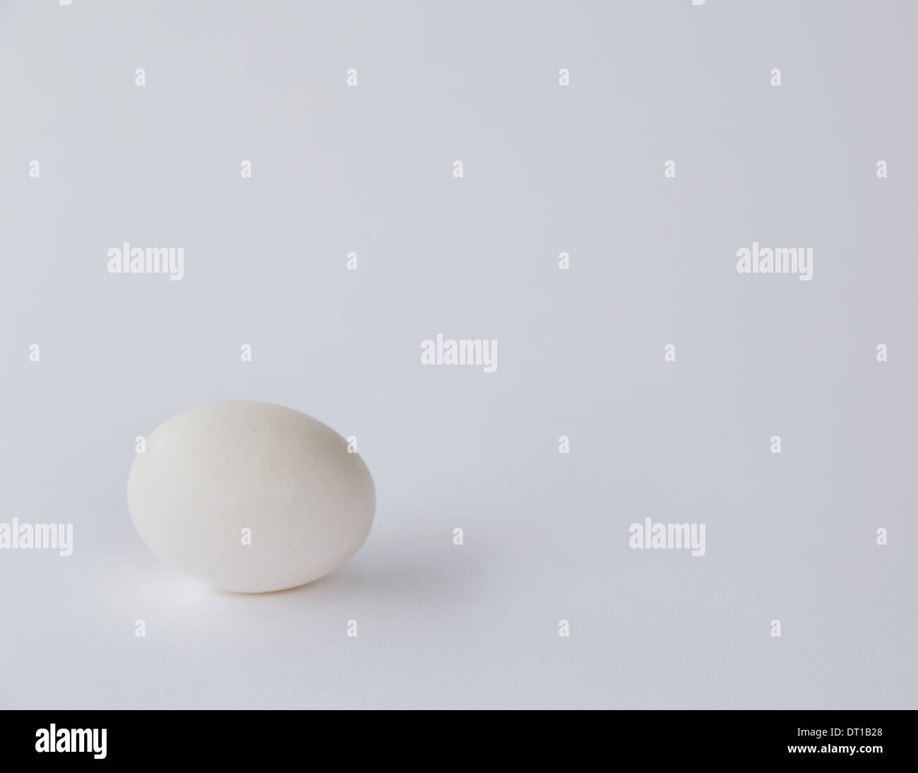 Gamme unique de libre-white shell avec œufs biologiques Banque D'Images