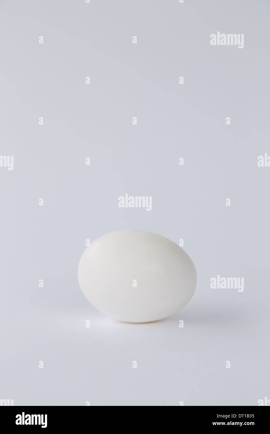 Gamme unique de libre-white shell avec œufs biologiques Banque D'Images