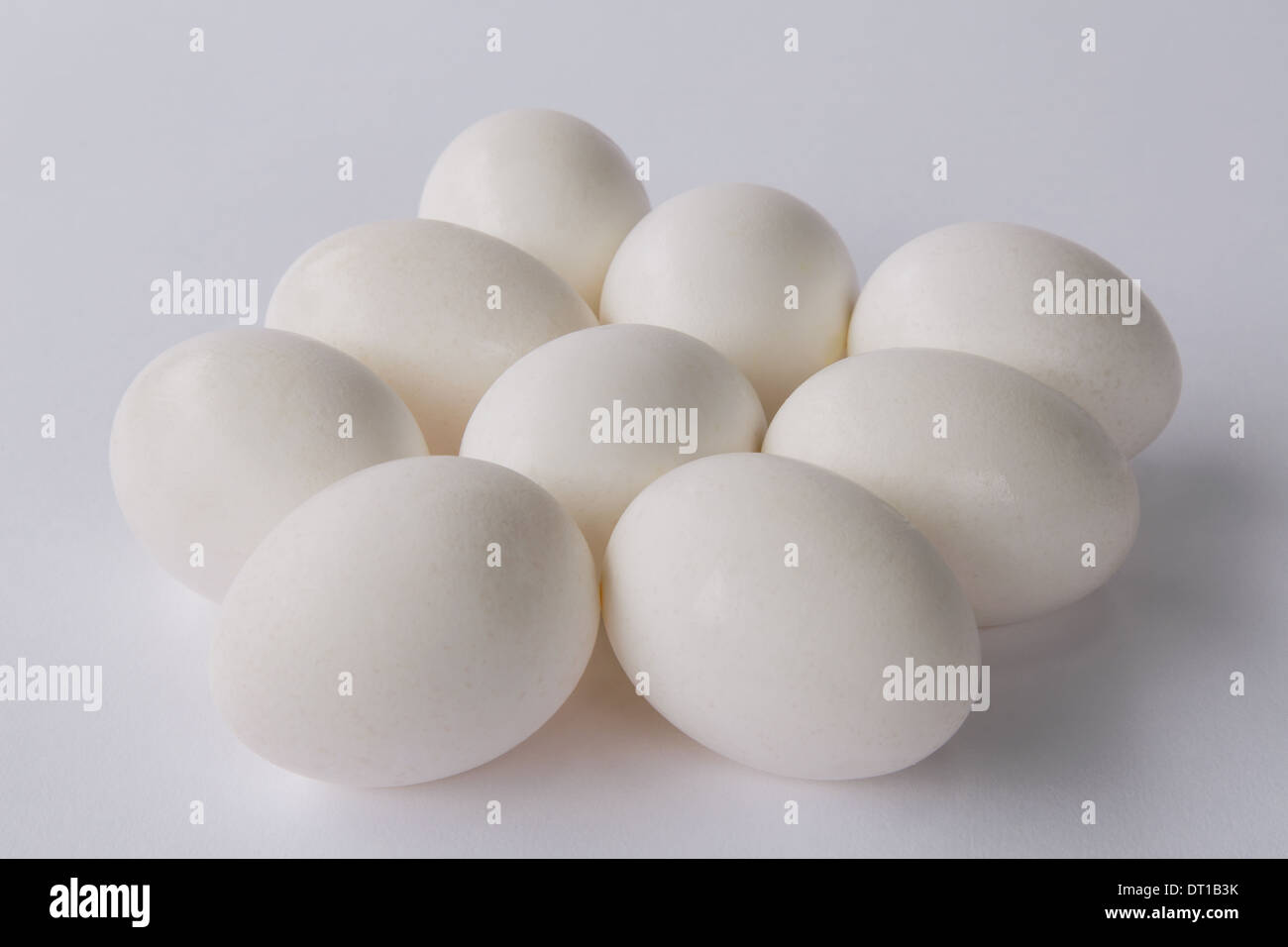 Neuf œufs biologiques gamme libre avec coquilles blanches Banque D'Images