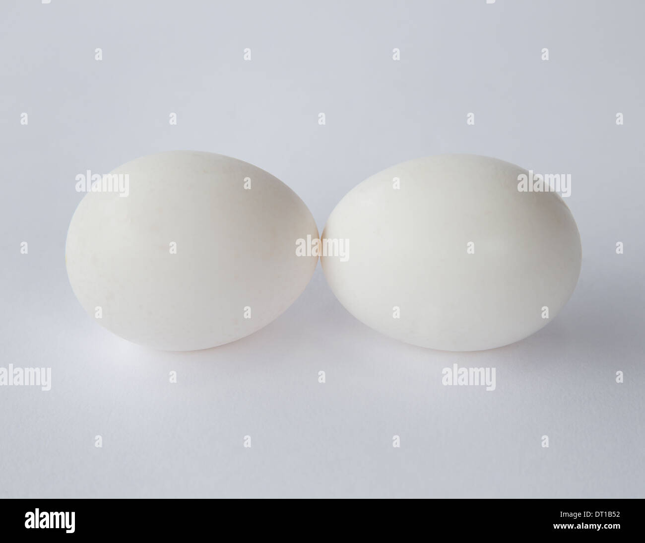 Deux œufs bio gamme de coquillages blancs Banque D'Images