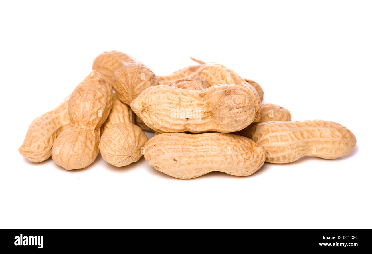 Pile de monkey studio nuts dentelle Banque D'Images