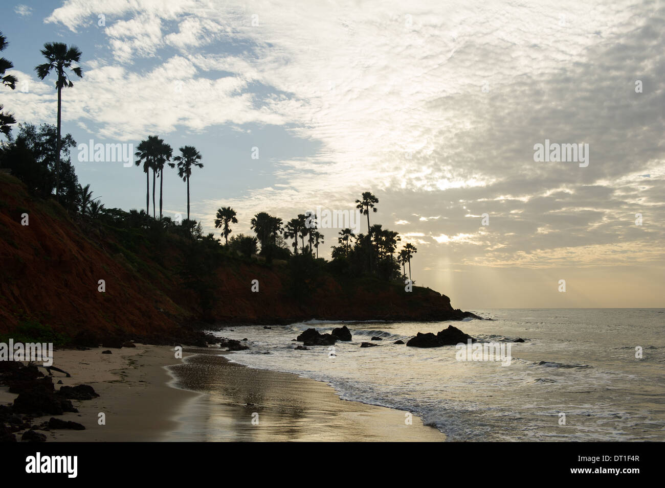 La plage bordée de palmiers, au lever du soleil, Banjul, Gambie Banque D'Images