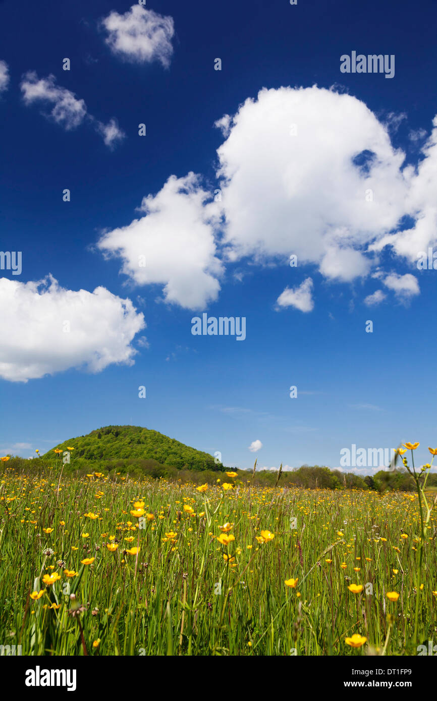 Rossberg mountain et prairie au printemps, Jura souabe, Baden Wurtemberg, Allemagne, Europe Banque D'Images