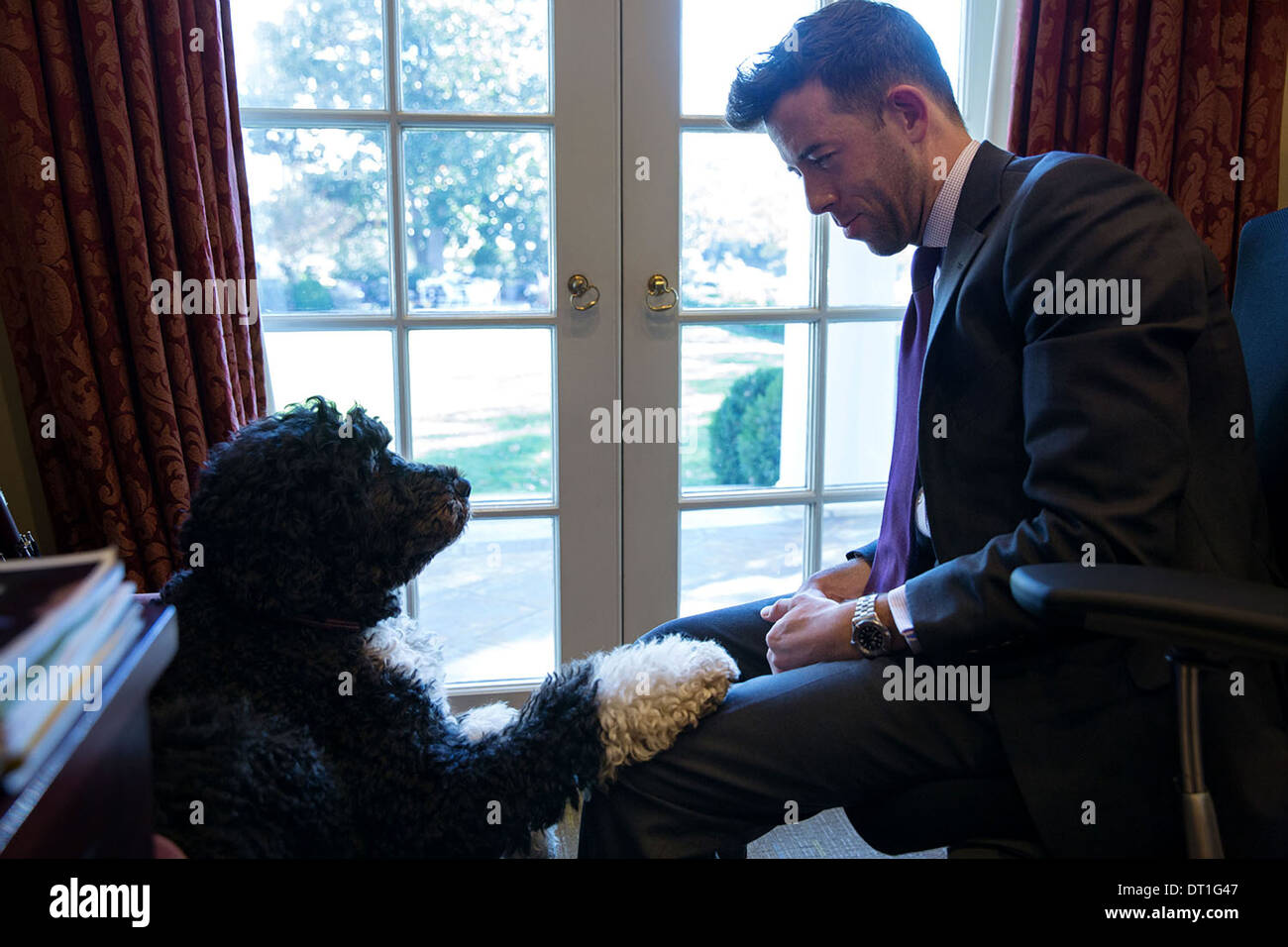 Brian Mosteller, Directeur des opérations du Bureau Ovale, joue avec Bo, le chien de la famille Obama dans l'avant-Bureau ovale de la Maison Blanche le 14 novembre 2013 à Washington, DC. Banque D'Images