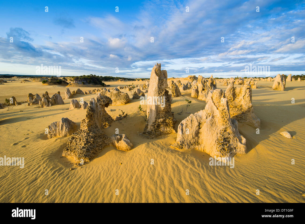 Les formations calcaires Pinacles au coucher du soleil dans le Parc National de Nambung, Australie occidentale, Australie, Pacifique Banque D'Images