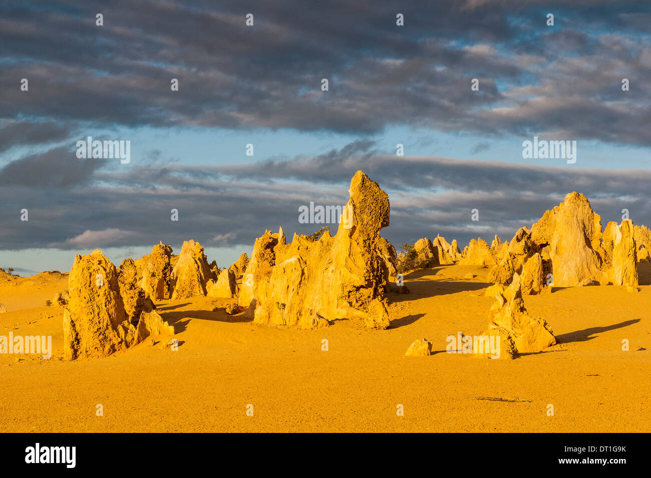 Les formations calcaires Pinacles au coucher du soleil dans le Parc National de Nambung, Australie occidentale, Australie, Pacifique Banque D'Images