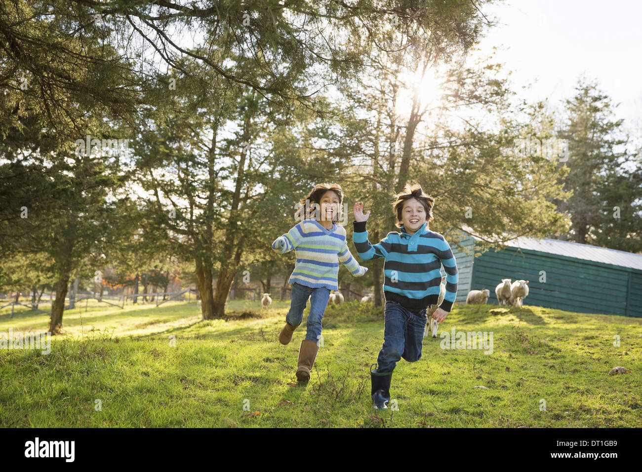 Mouton Qui Rit Banque D Image Et Photos Alamy