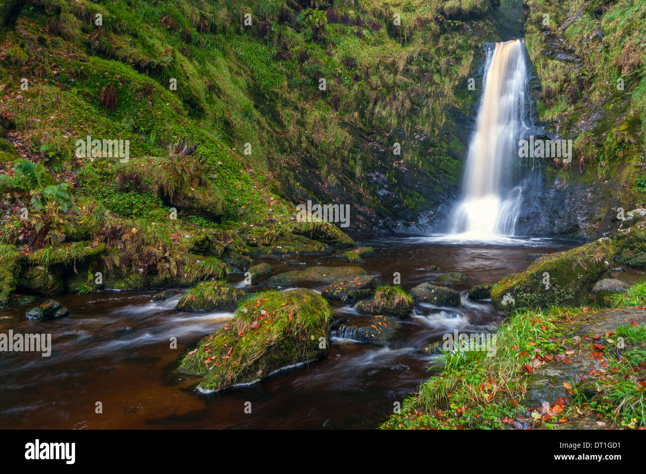 Llanrhaeadr ym Levin, Pistyll Rhaeadr Cascades, montagnes Berwyn, Powys, Pays de Galles, Royaume-Uni, Europe Banque D'Images