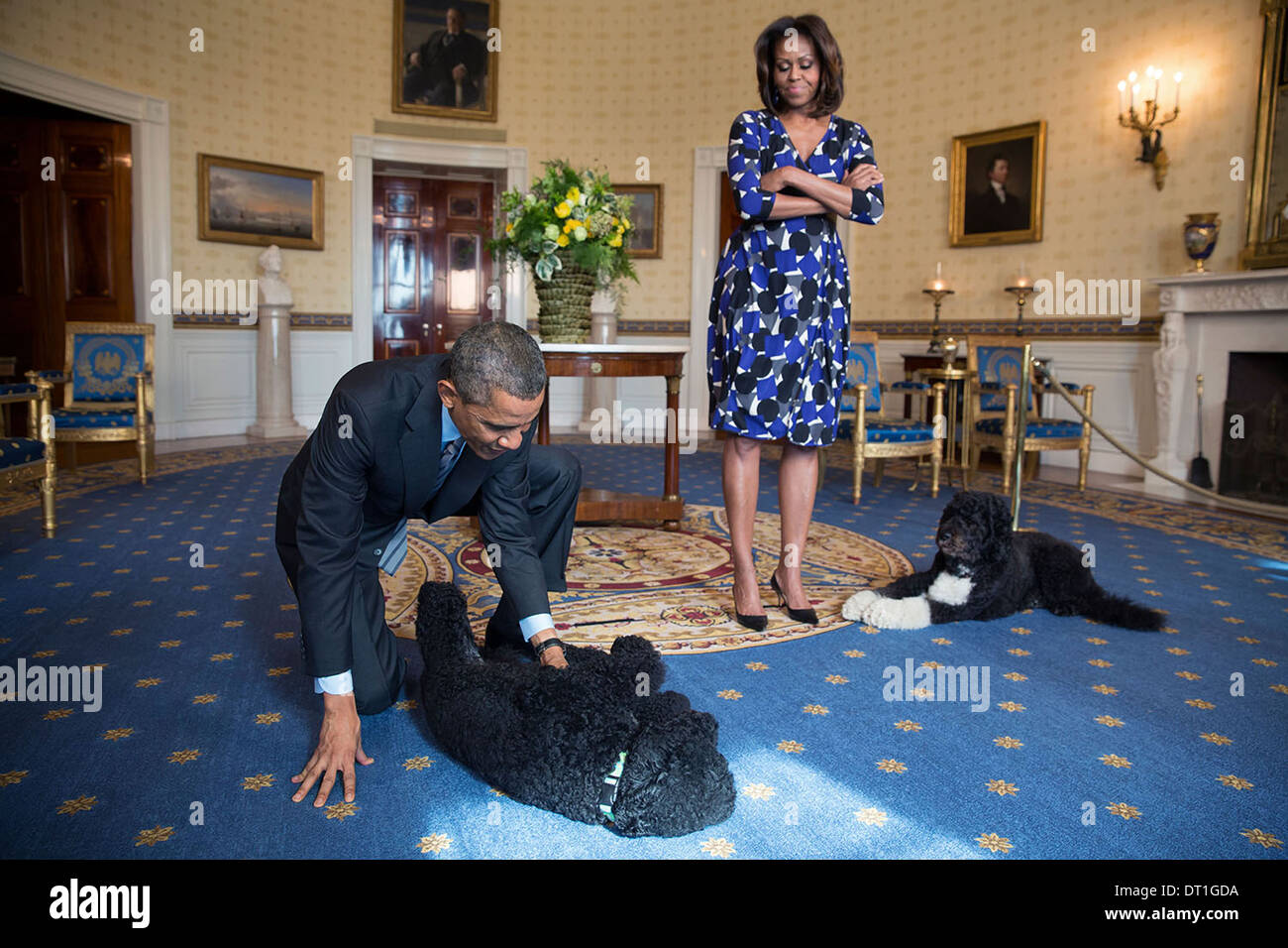 Le président américain Barack Obama et la Première Dame Michelle Obama, rejoint par la famille animaux domestiques Sunny et Bo, attendre pour accueillir les visiteurs dans la chambre bleue au cours d'une visite guidée de la Maison Blanche le 5 novembre 2013 à Washington, DC. Banque D'Images