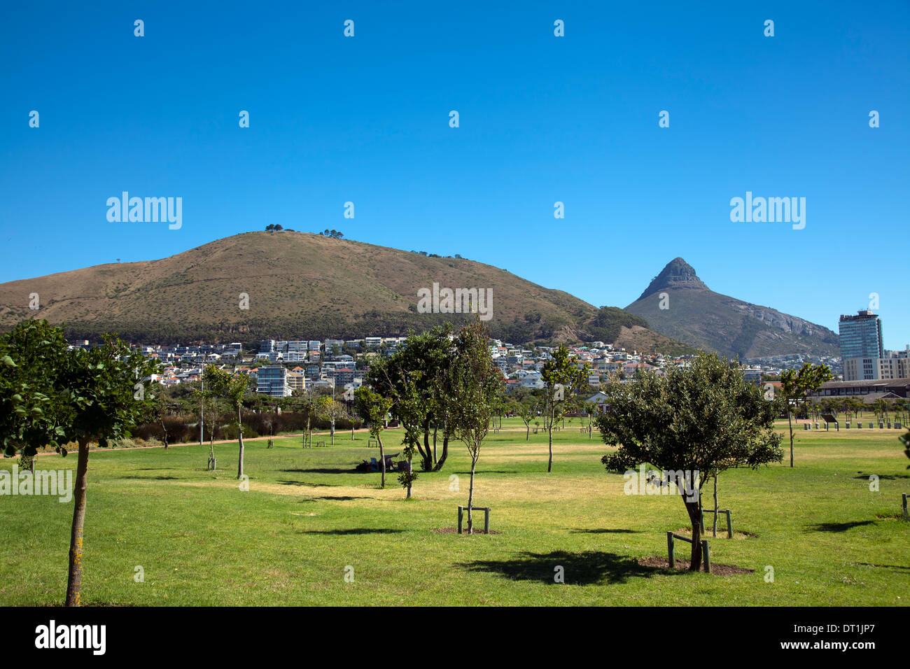 Parc de Green Point à Cape Town - Afrique du Sud Banque D'Images