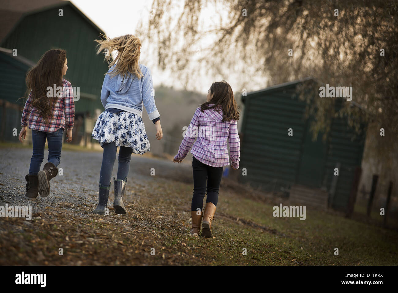 Trois enfants de marcher le long d'un chemin sur une ferme biologique Banque D'Images