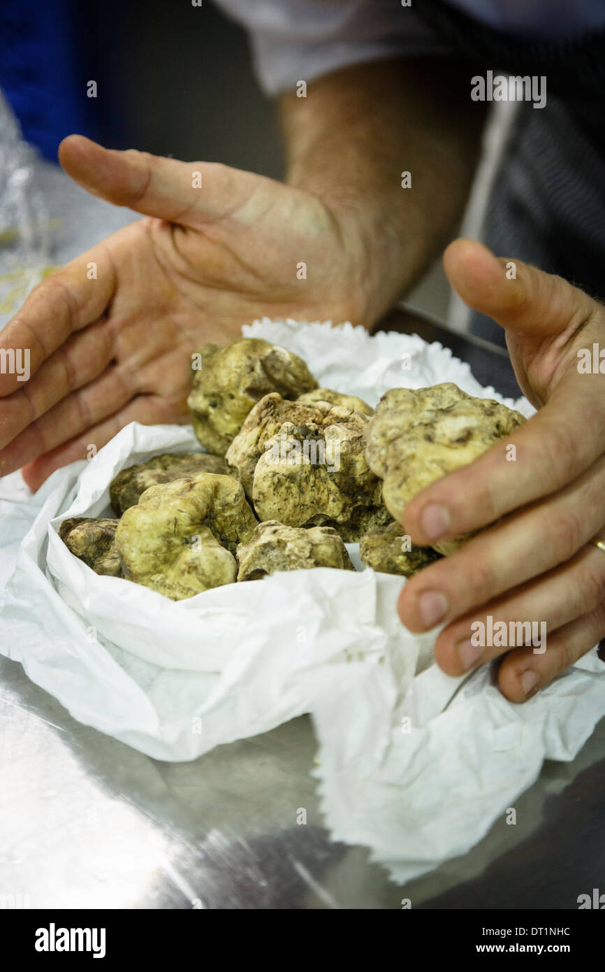 La truffe blanche au restaurant Osteria dell'Arco, partie du mouvement slow food, Alba, Piedmont, Italy, Europe Banque D'Images