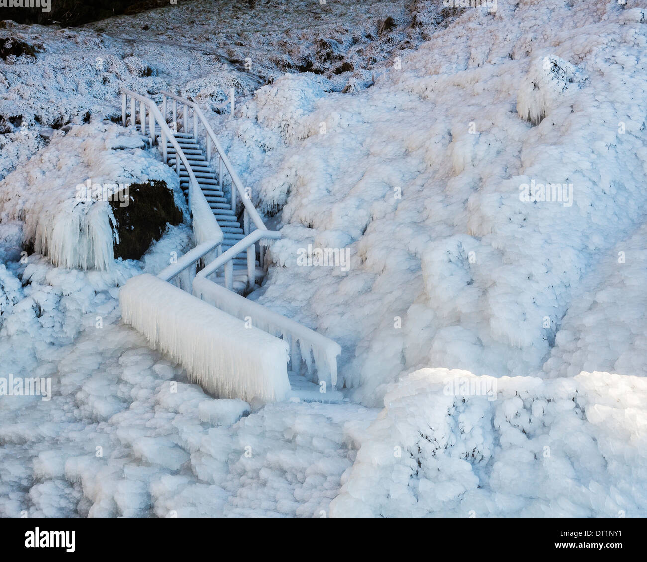 Cascade de Seljalandsfoss en hiver, l'Islande. Cascade unique, que vous pouvez marcher derrière la chute d'un trajet. Banque D'Images