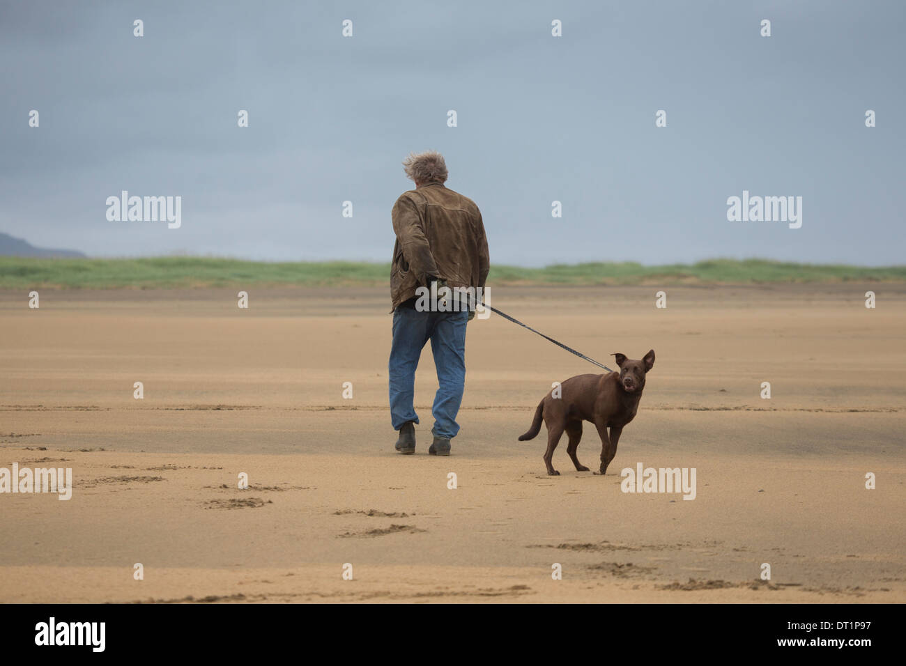 L'homme et son chien sur la plage, Longufjorur, Islande, de Snæfellsnes Banque D'Images