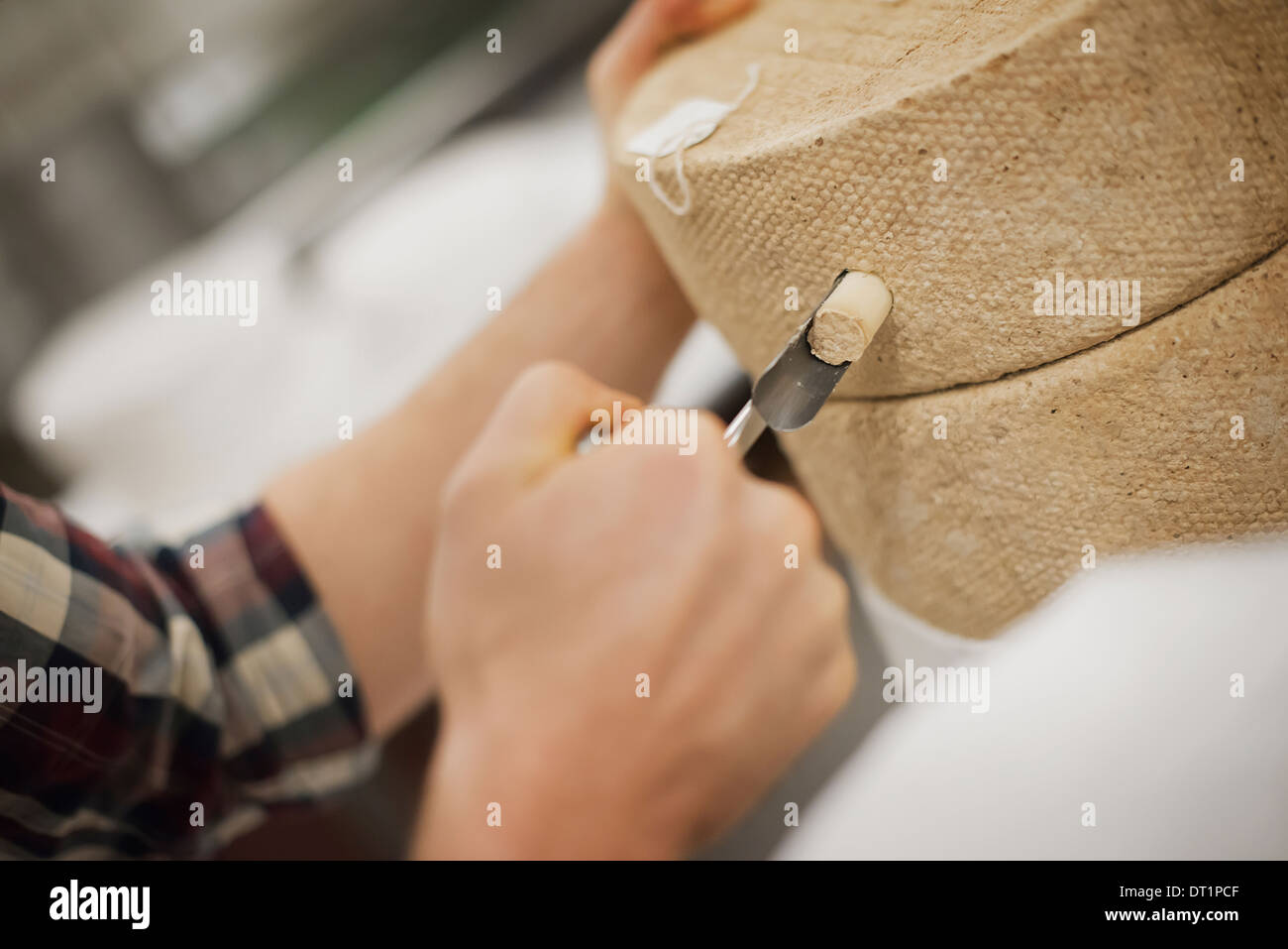 Ferme laitière en laiterie avec de grandes roues de maturation du fromage Banque D'Images