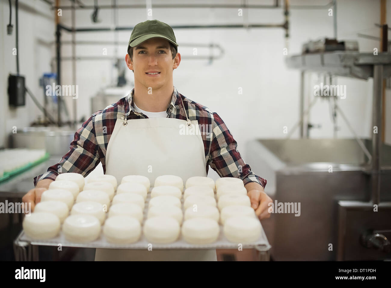Ferme laitière biologique avec un troupeau de vaches et chèvres laiterie avec de grandes roues de fromage Plateaux de maturation du produit Banque D'Images