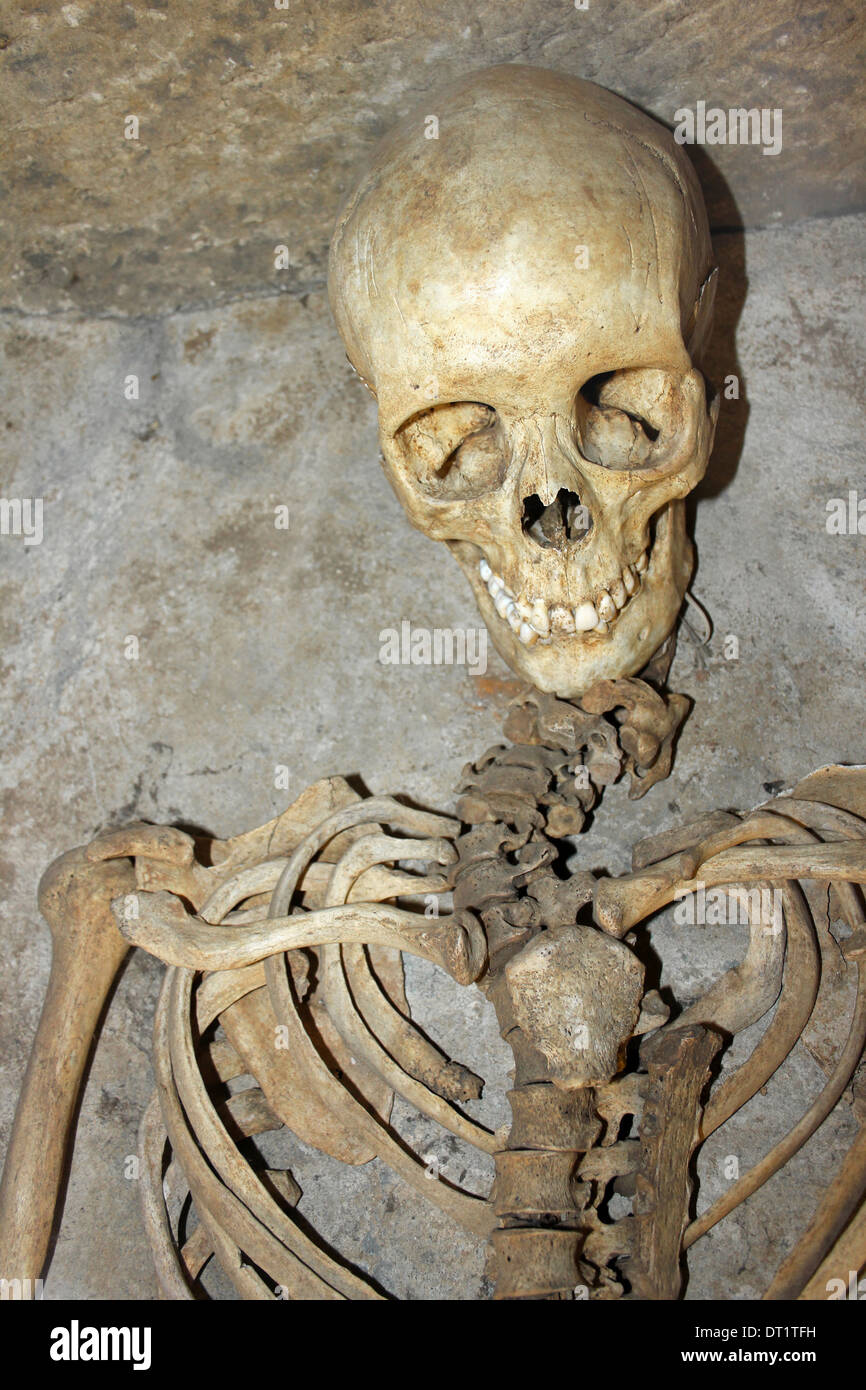 Le squelette d'une femme romaine trouvée à Winterton, Lincolnshire, Royaume-Uni lors de travaux routiers Banque D'Images