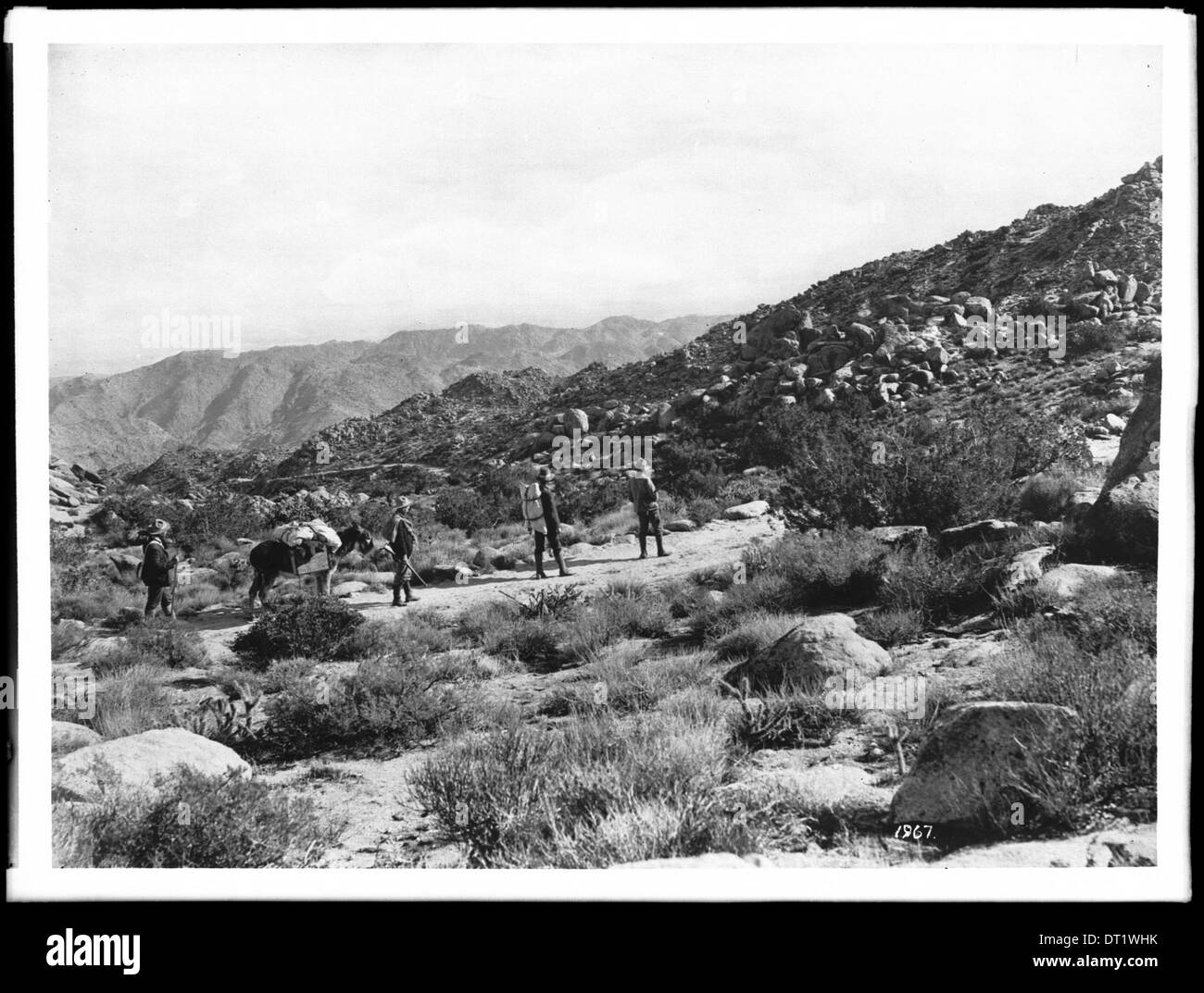Une photographie de randonneurs traversant le Campo Divide sur le chemin de la vallée impériale en 1904, documentant les premières explorations en plein air. Banque D'Images