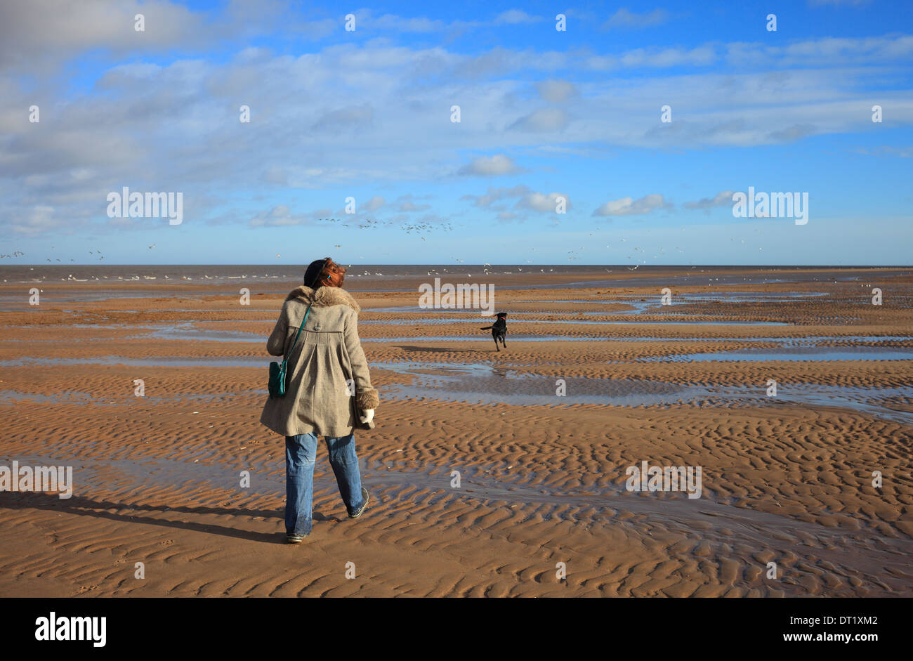 Femme marche avec son chien de compagnie à Silloth-prochain-la-mer sur la côte de Norfolk. Banque D'Images