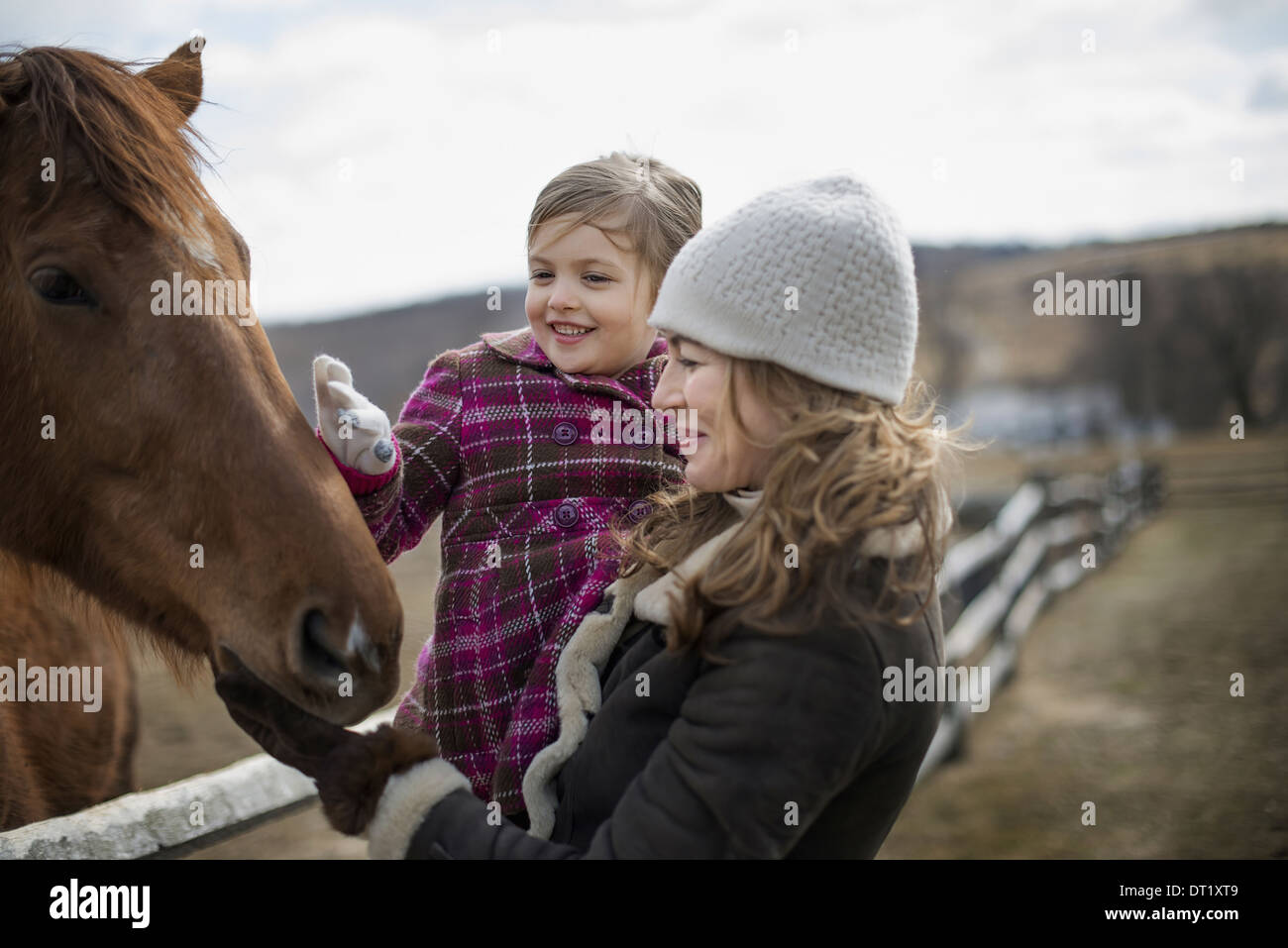 Une femme et enfant caressant un cheval dans un enclos dans une ferme Banque D'Images