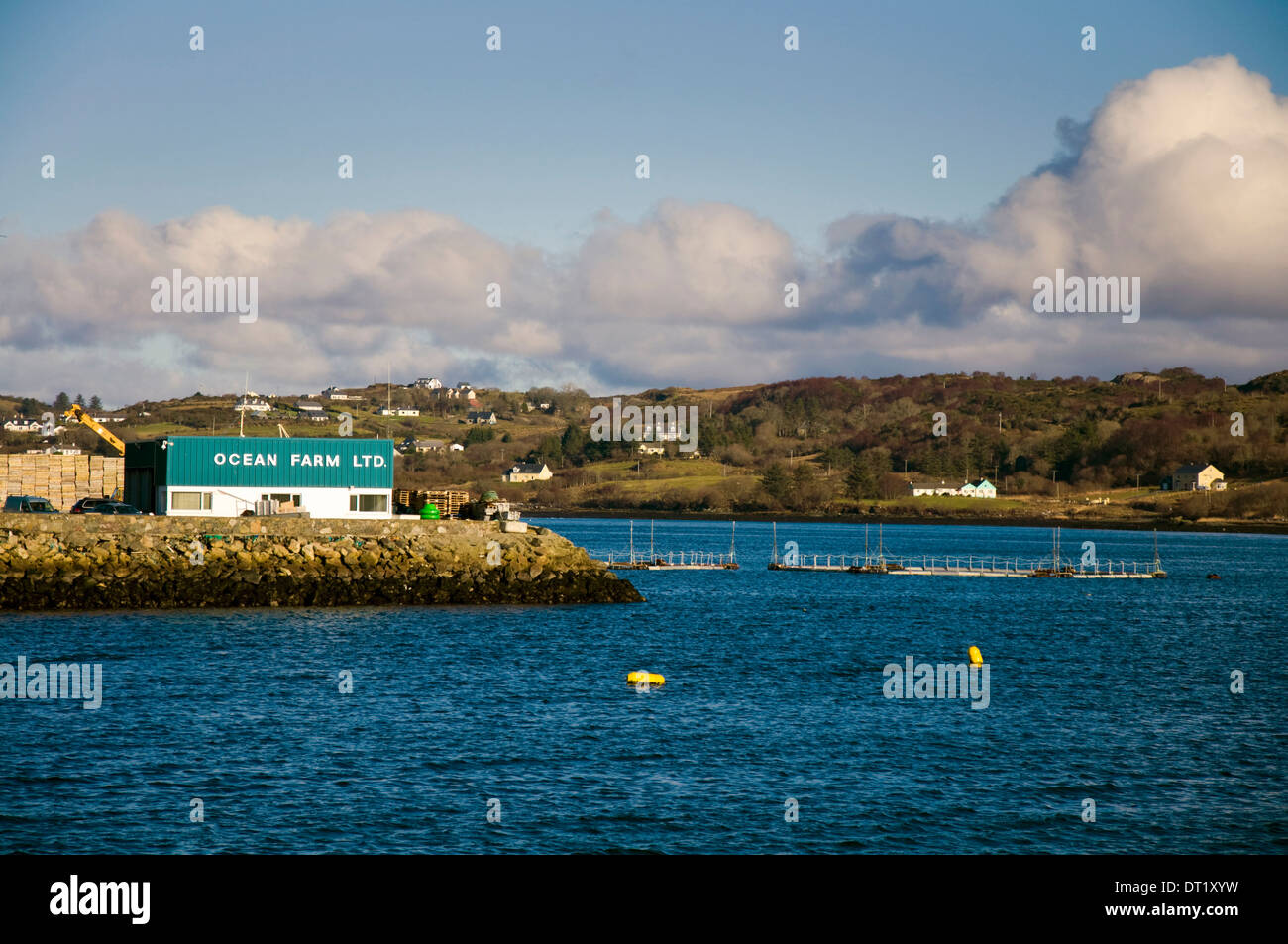 Port de pêche de Killybegs Comté de Donegal en Irlande. Ocean Farm Ltd, une société spécialisée dans l'agriculture, le saumon de l'Atlantique Banque D'Images