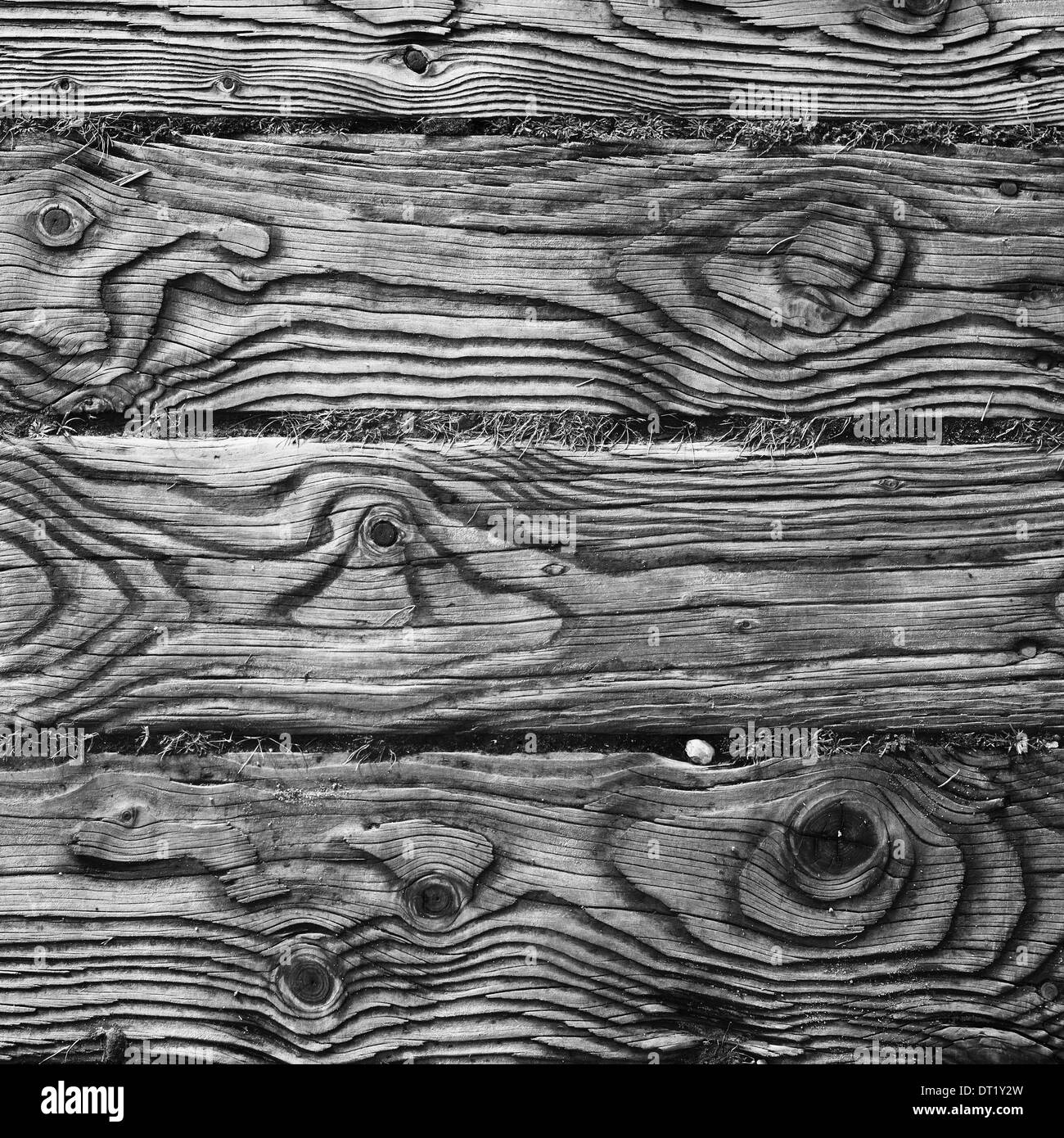 Le modèle de grain dans les planches en bois d'une chambre à pied. Banque D'Images