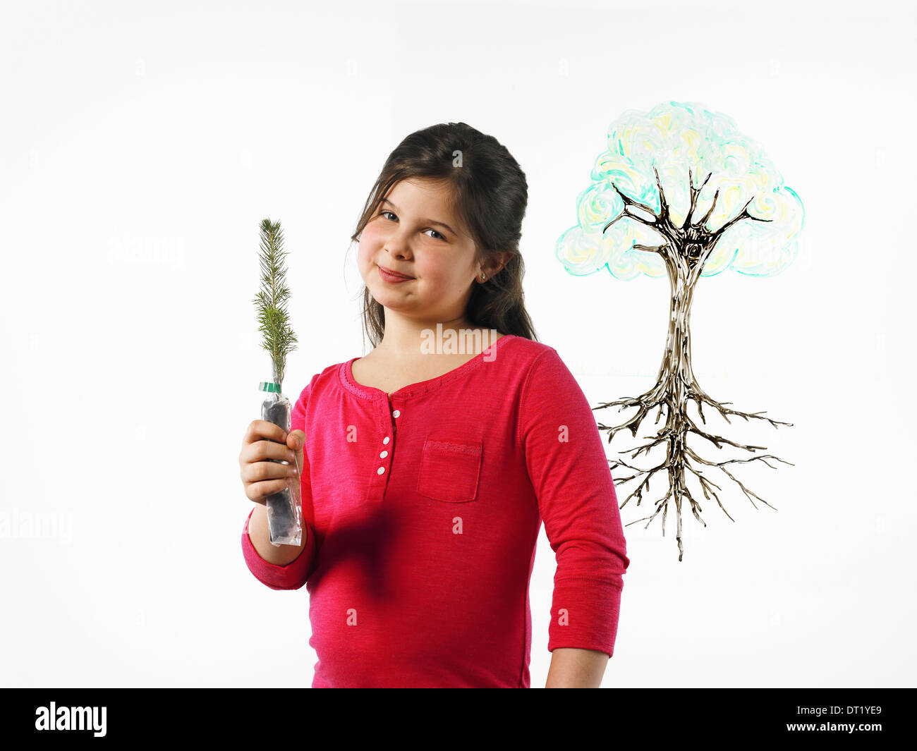 Une jeune fille tenant un petit semis de conifères une illustration d'une plante dont les racines sont tirés sur une surface claire Banque D'Images