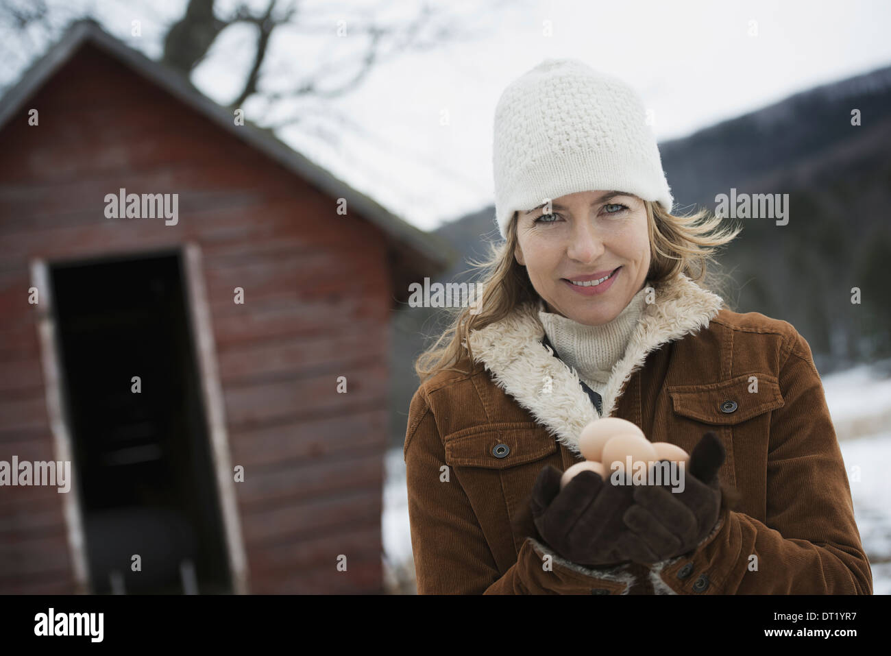 Une ferme biologique dans le nord de New York en hiver, une femme tenant une couvée d'oeufs de poule dans ses mains Banque D'Images