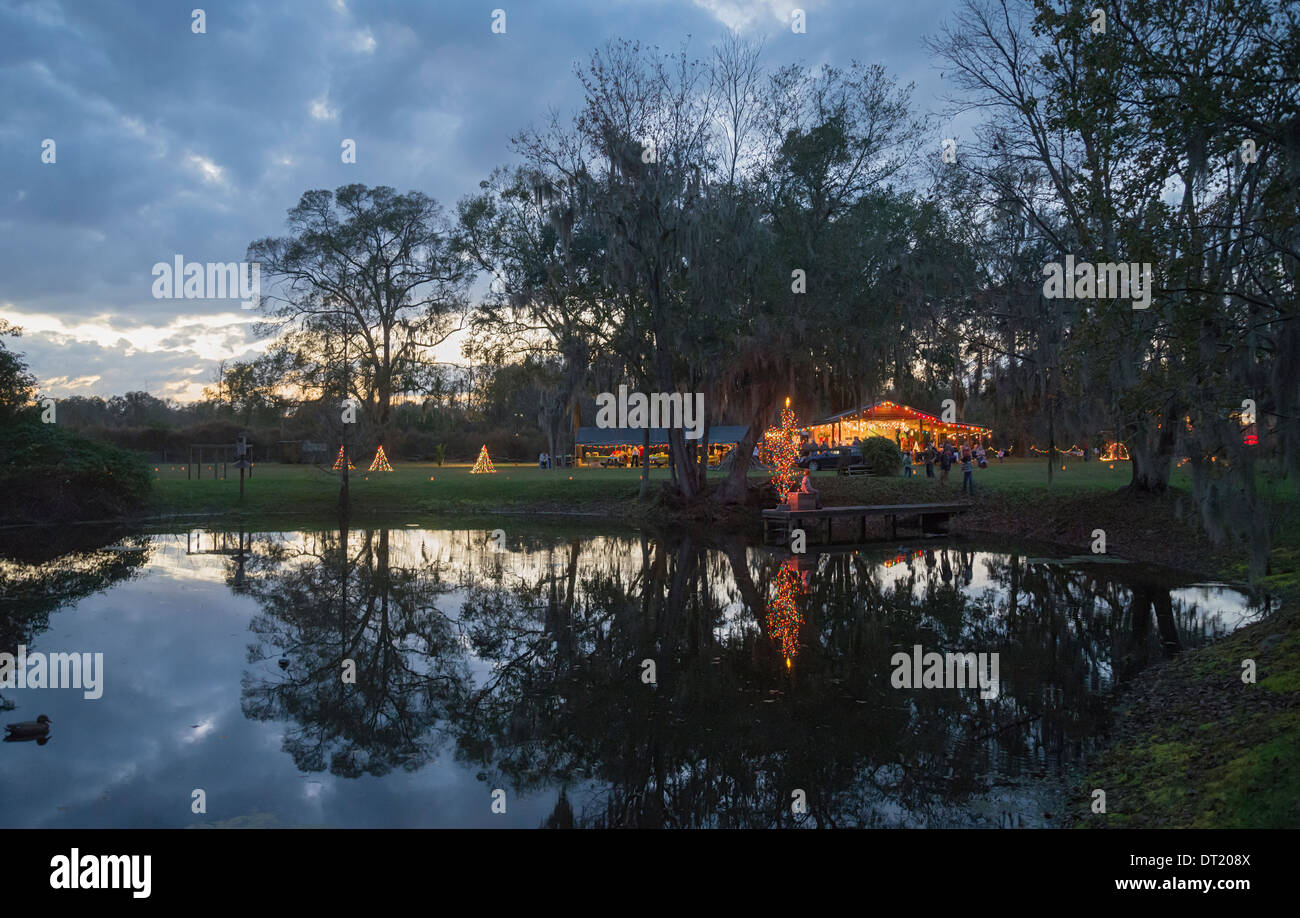 Noël sous les étoiles au lieu d'accueil Alachua en Floride. Banque D'Images