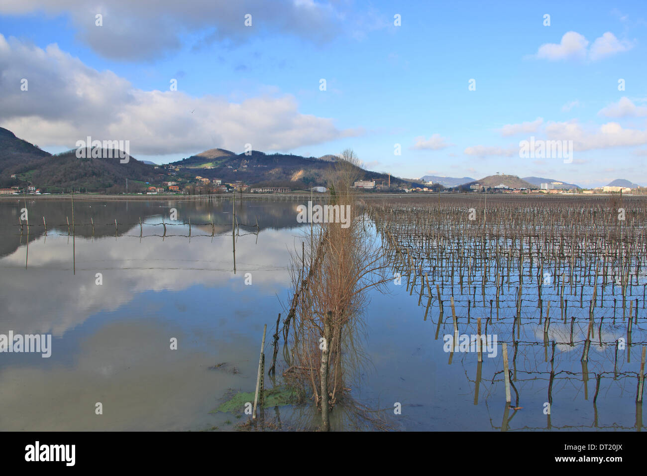Veneto, Italie. 6e février 2014. Inondation. Dans la région de Veneto il a plu sans arrêt pendant 7 jours, aujourd'hui, le temps accordé un répit.Sur cette photo, les champs inondés Crédit : Realy Easy Star/Alamy Live News Banque D'Images