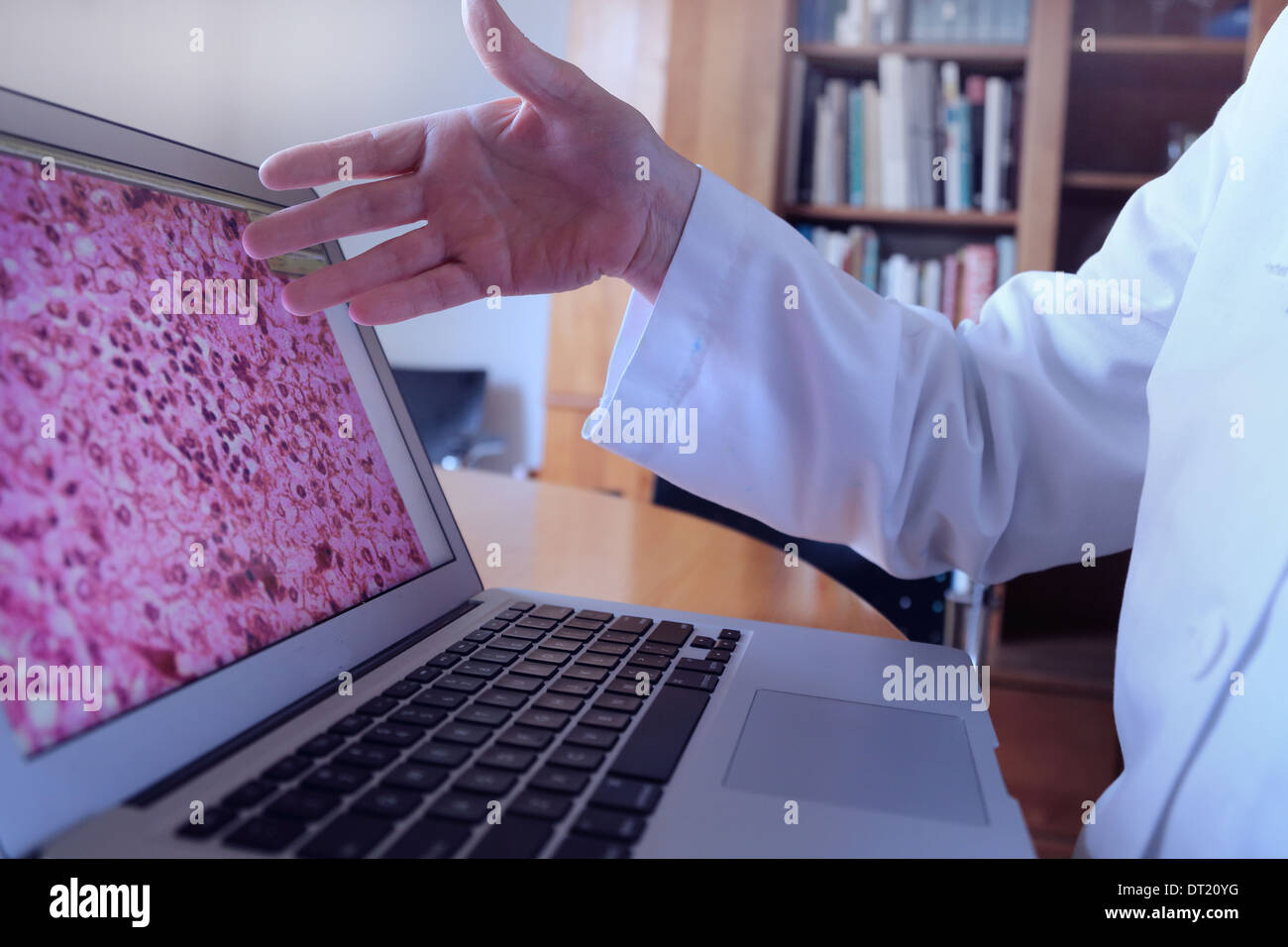 Moniteur d'une image d'histologie et d'une femme médecin Banque D'Images