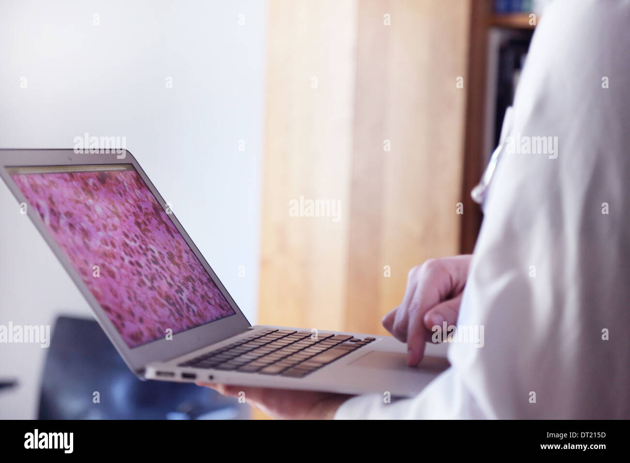 Moniteur d'une image d'histologie et d'une femme médecin Banque D'Images