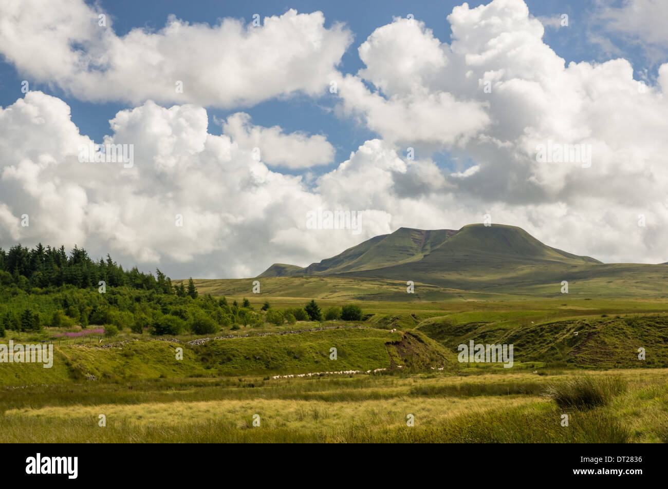Vue sur le pic de Fan Brycheiniog dans la région des Black Mountains, Brecon Beacons, Bannau Brycheiniog National Park pays de Galles Royaume-Uni Banque D'Images
