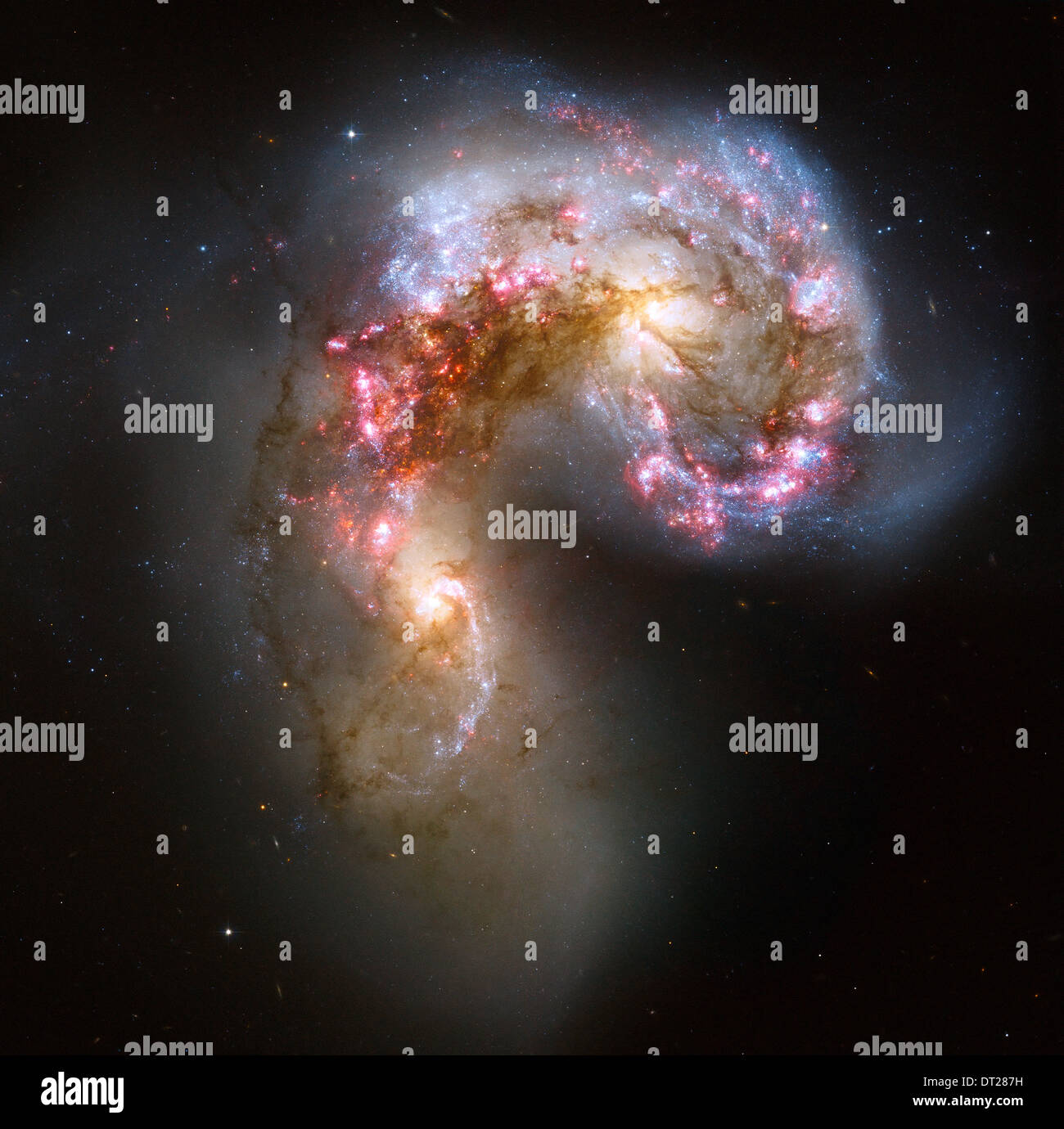 Galaxies des antennes dans le processus de collision Banque D'Images