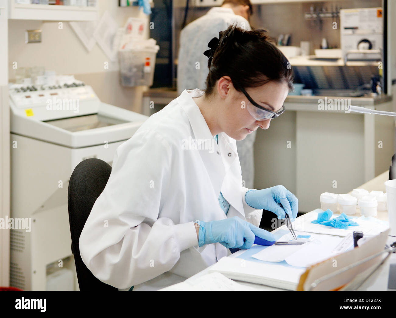 Une image de l'intérieur de la pièce brute sur une pathologie moderne bureau. Banque D'Images