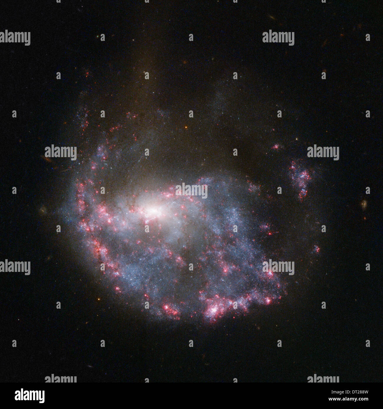 Deux galaxies, NGC 922 et 2 MASXI J0224301-244443, entrent en collision dans un bull's eye directement touchés. Banque D'Images