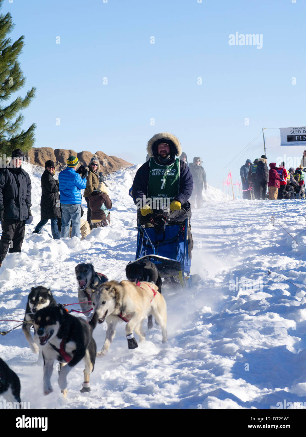 La Compagnie de Merlin de fer à repasser, WIFI payant sur place outre ses dix-Dog Sled classe course le dimanche, 2 mars 2014. Des scènes de l'Îles Apostle Sled Banque D'Images